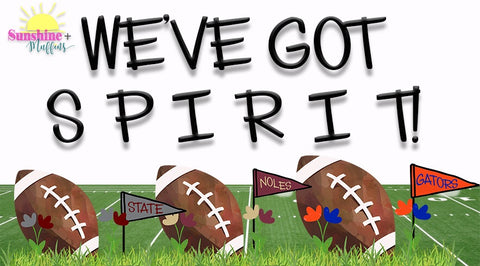 We’ve Got S P I R I T